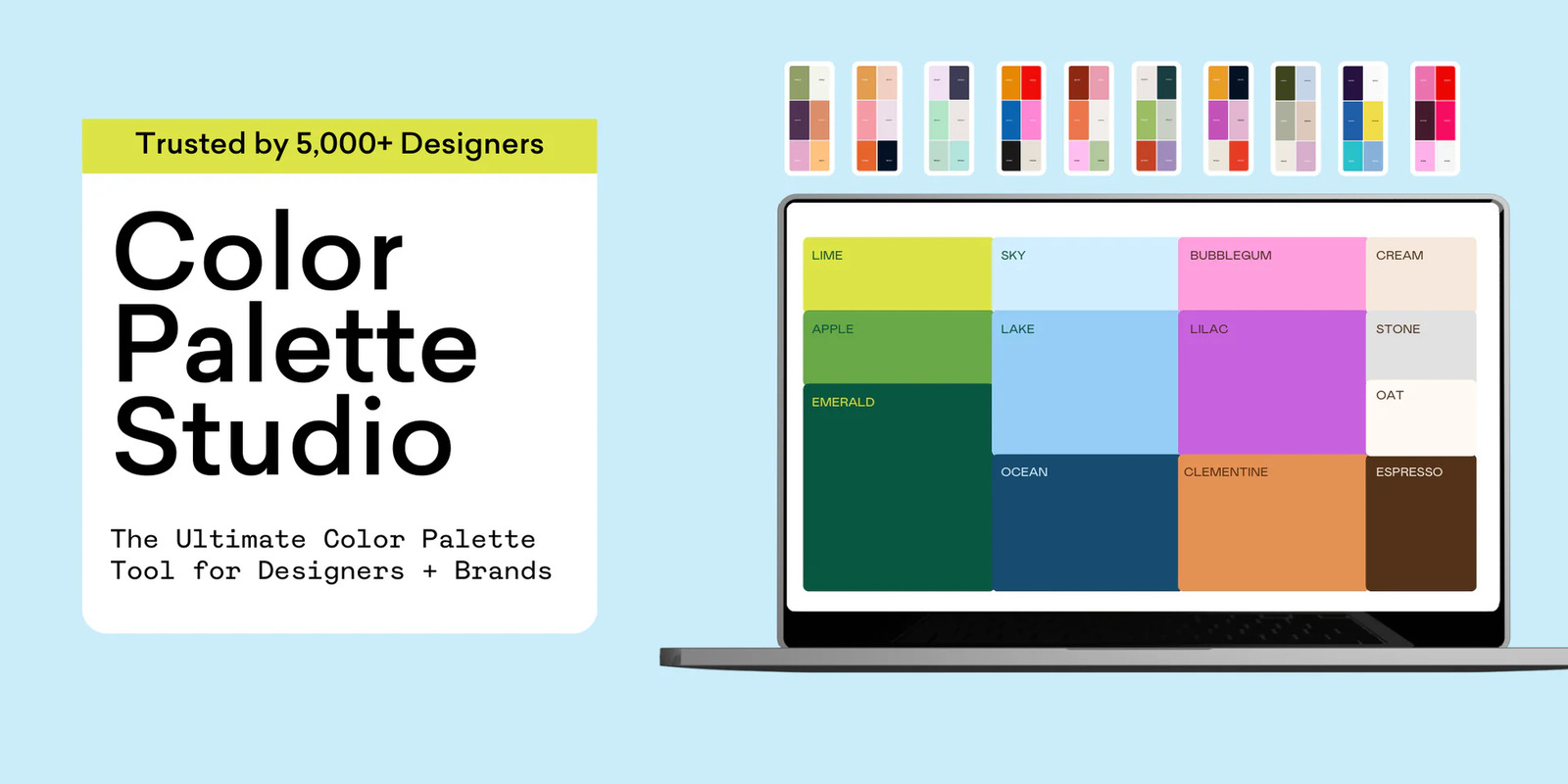 Color Palette