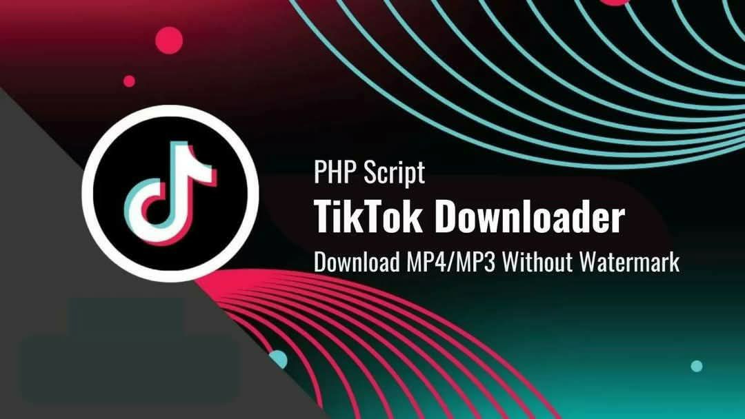 TikTok Downloader